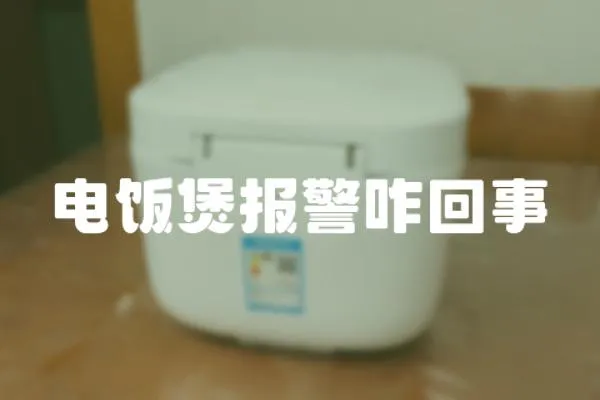 電飯煲報警咋回事