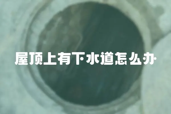 屋頂上有下水道怎么辦