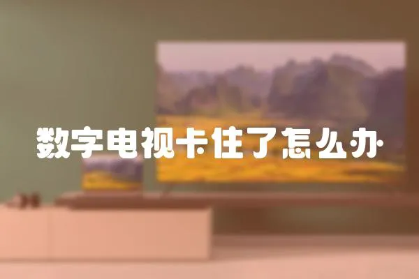 數(shù)字電視卡住了怎么辦