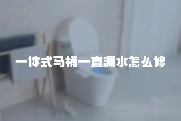 一體式馬桶一直漏水怎么修
