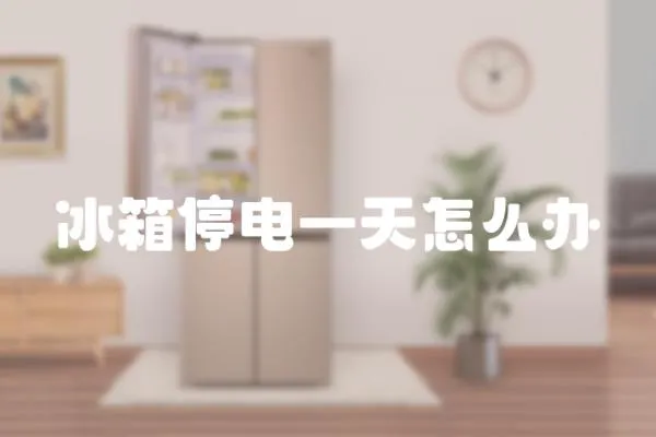冰箱停電一天怎么辦