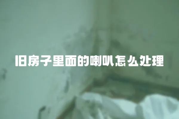 舊房子里面的喇叭怎么處理