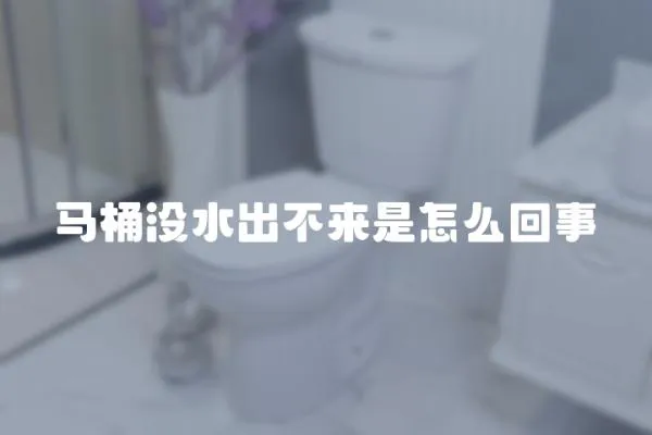 馬桶沒水出不來是怎么回事