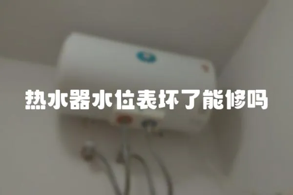 熱水器水位表壞了能修嗎