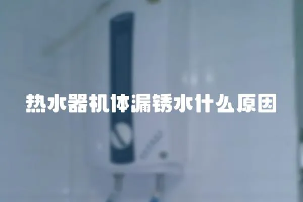 熱水器機體漏銹水什么原因