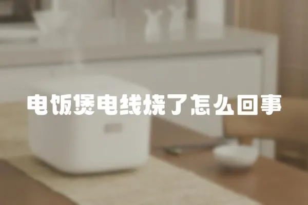 電飯煲電線燒了怎么回事