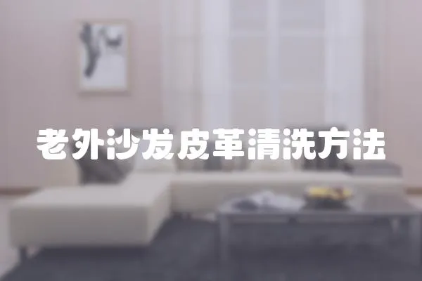 老外沙發(fā)皮革清洗方法
