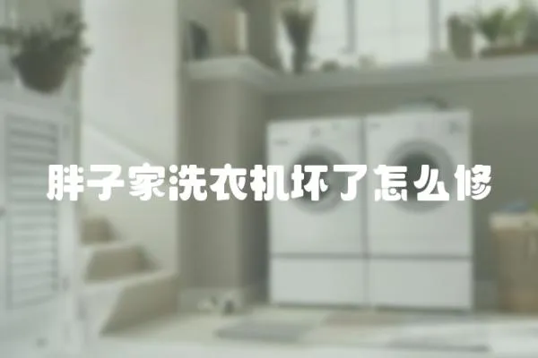 胖子家洗衣機壞了怎么修