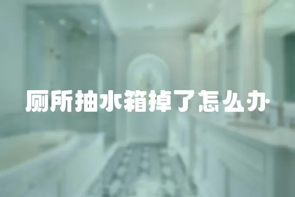 廁所抽水箱掉了怎么辦