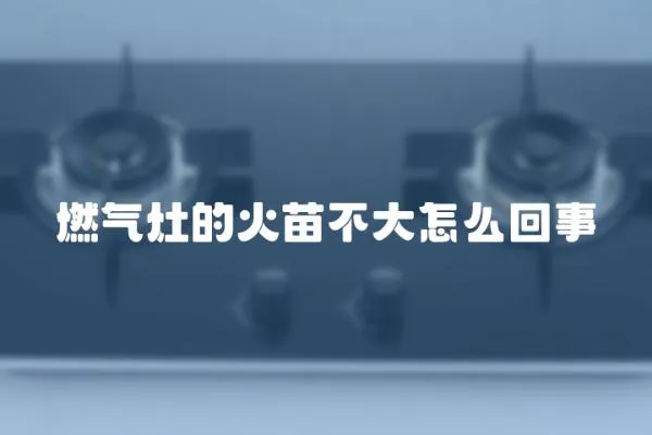 燃?xì)庠畹幕鹈绮淮笤趺椿厥?></a></div>
                    </div>
                    <div   id=