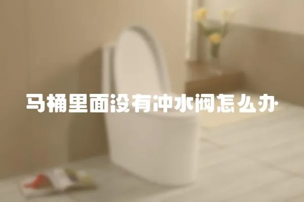 馬桶里面沒有沖水閥怎么辦