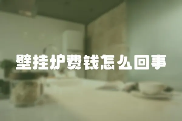 壁掛爐費(fèi)錢(qián)怎么回事