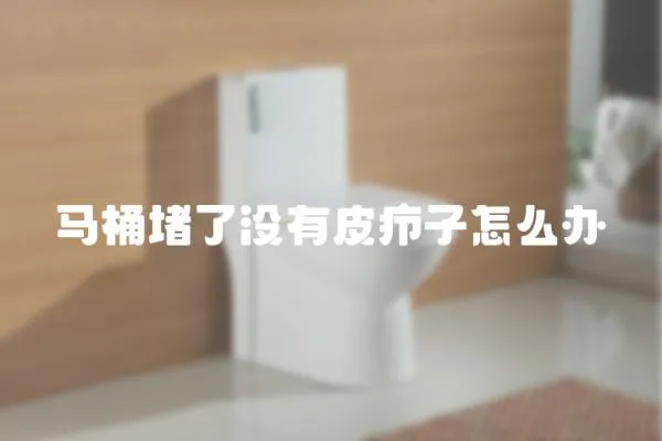 馬桶堵了沒有皮癤子怎么辦