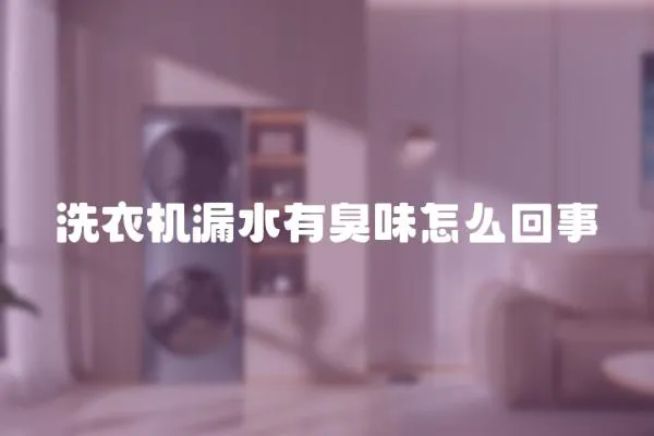 洗衣機(jī)漏水有臭味怎么回事