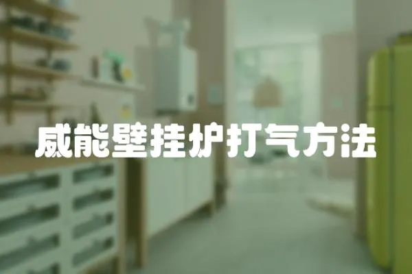 威能壁掛爐打氣方法