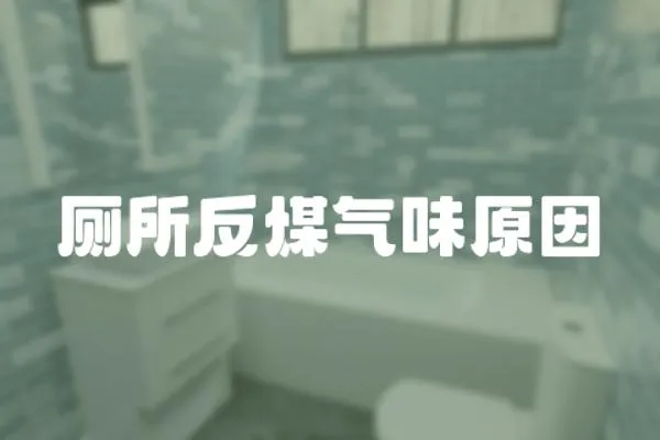 廁所反煤氣味原因