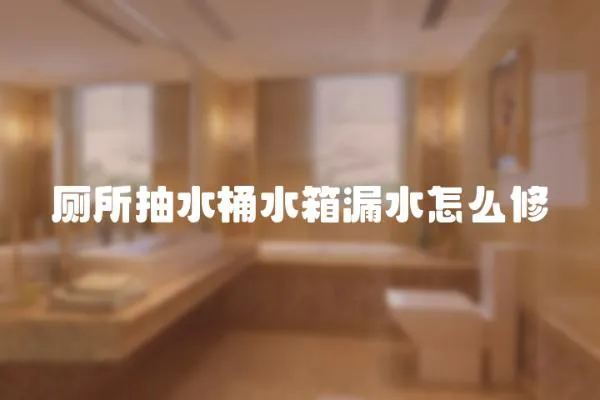 廁所抽水桶水箱漏水怎么修