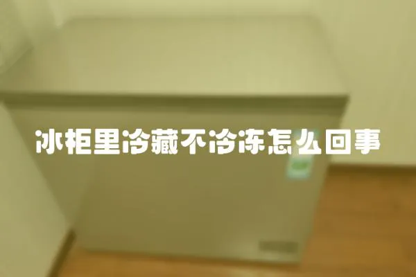 冰柜里冷藏不冷凍怎么回事