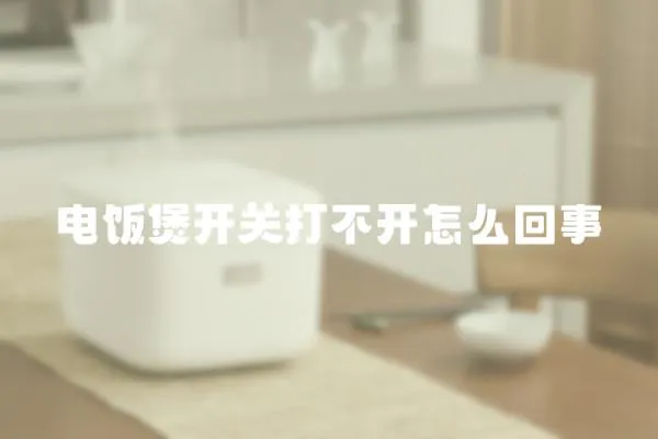 電飯煲開關打不開怎么回事