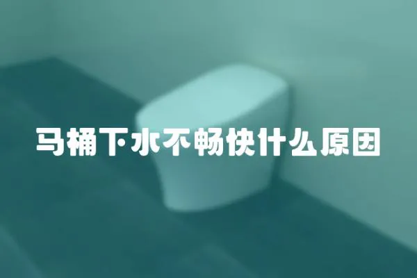 馬桶下水不暢快什么原因