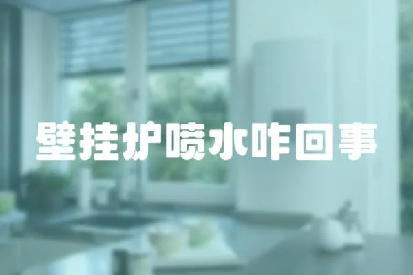 壁掛爐噴水咋回事