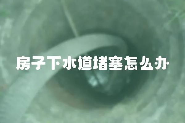 房子下水道堵塞怎么辦