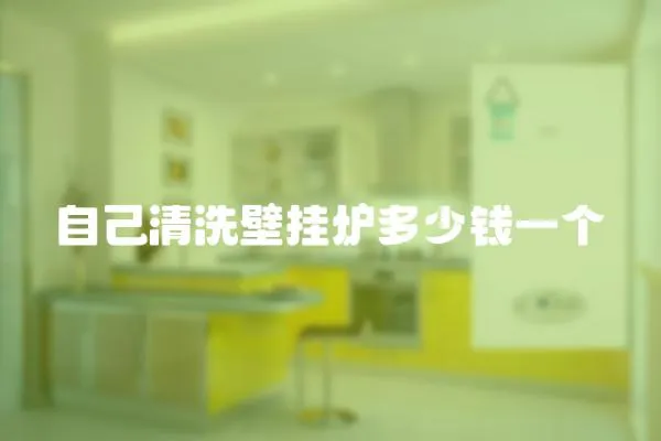 自己清洗壁掛爐多少錢一個