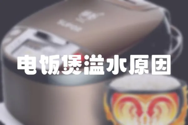 電飯煲溢水原因