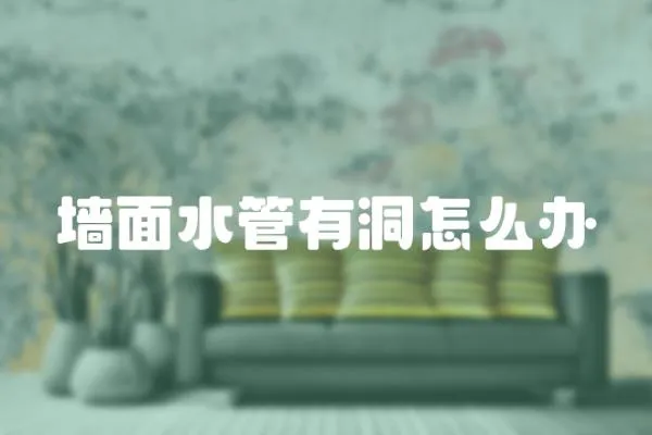 墻面水管有洞怎么辦