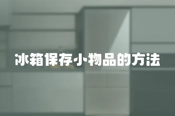 冰箱保存小物品的方法