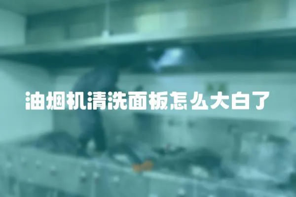 油煙機清洗面板怎么大白了