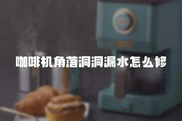 咖啡機角落洞洞漏水怎么修