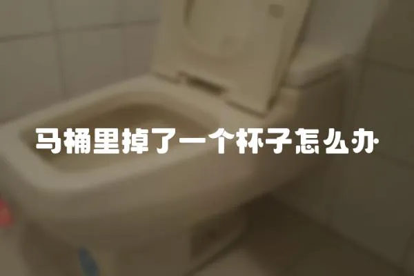 馬桶里掉了一個杯子怎么辦