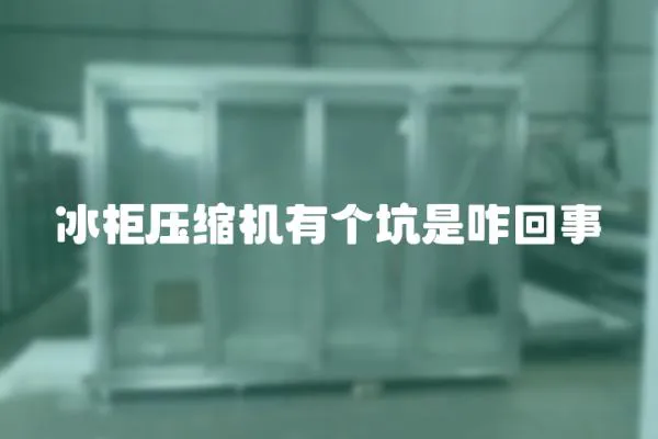 冰柜壓縮機(jī)有個(gè)坑是咋回事