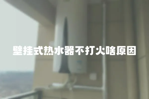 壁掛式熱水器不打火啥原因