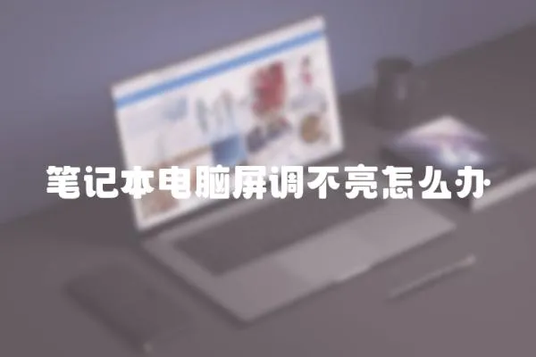 筆記本電腦屏調不亮怎么辦