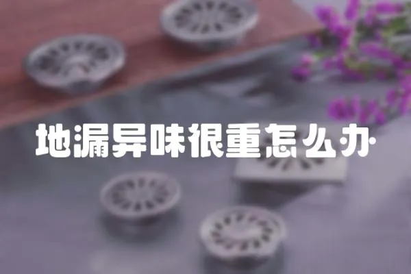地漏異味很重怎么辦