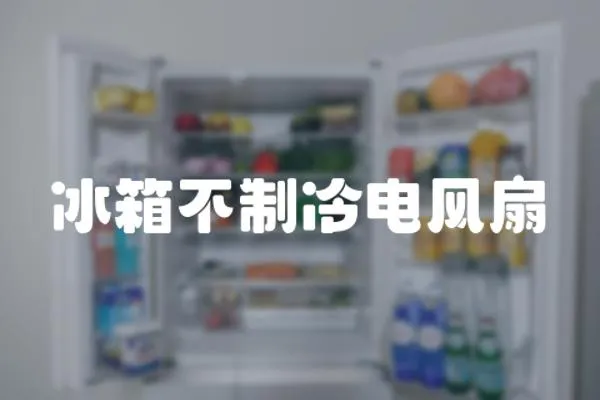 冰箱不制冷電風扇