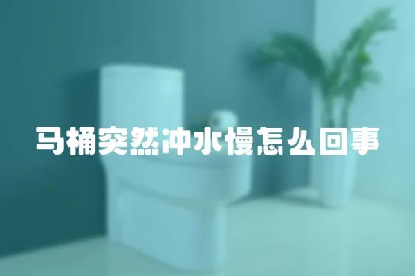 馬桶突然沖水慢怎么回事