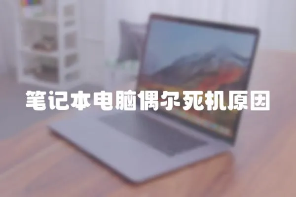 筆記本電腦偶爾死機原因