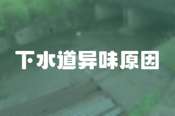 下水道異味原因