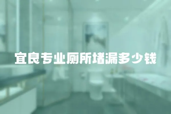 宜良專業廁所堵漏多少錢