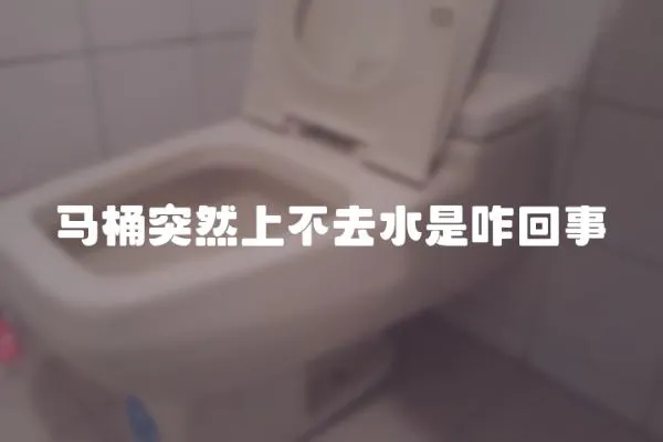 馬桶突然上不去水是咋回事