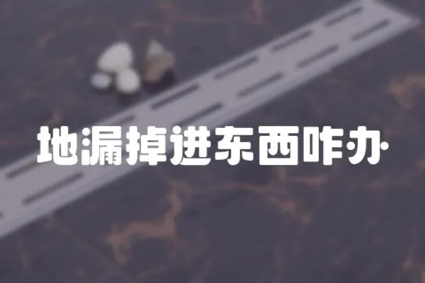 地漏掉進(jìn)東西咋辦