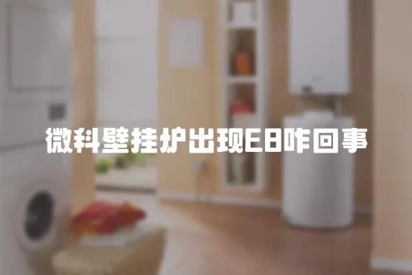 微科壁掛爐出現E8咋回事