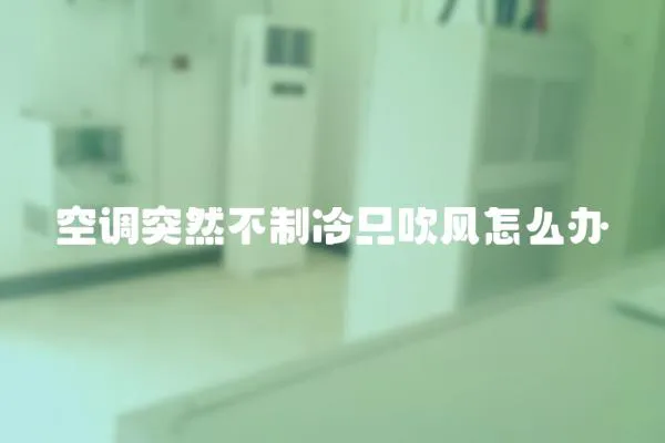 空調突然不制冷只吹風怎么辦