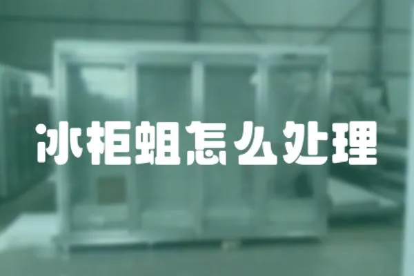 冰柜蛆怎么處理