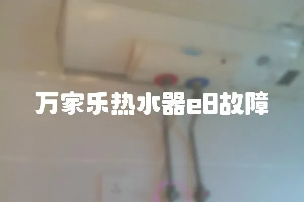 萬家樂熱水器e8故障