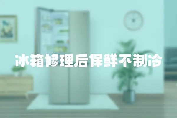 冰箱修理后保鮮不制冷