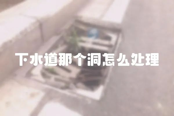 下水道那個洞怎么處理